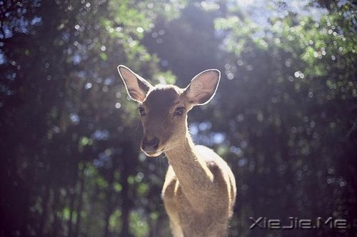 有些事，笑笑就能过去 (6)