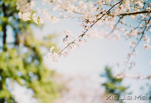 有些事，笑笑就能过去 (7)