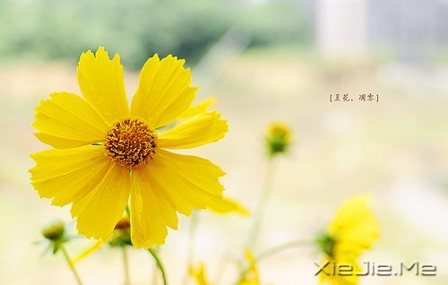 风雨人生，给自己一个微笑 (1)