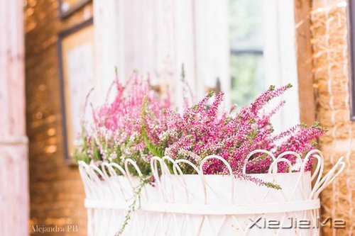 谁捧起花的脸庞，让岁月美的黯然神伤 (2)