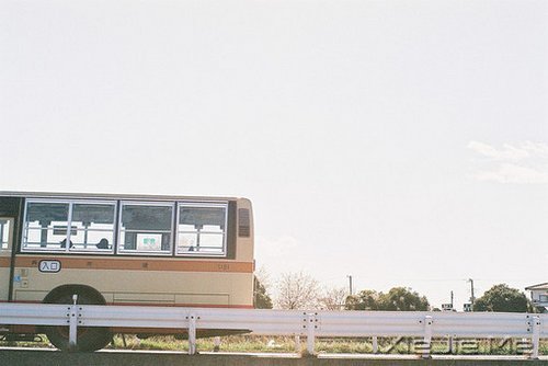 早安心语：生活中最大的幸福是坚信有人爱着我们 (4)
