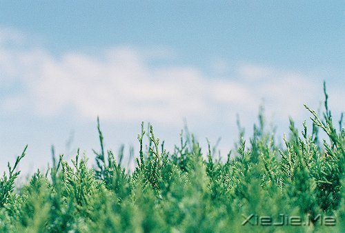 早安心语：生活中最大的幸福是坚信有人爱着我们 (8)