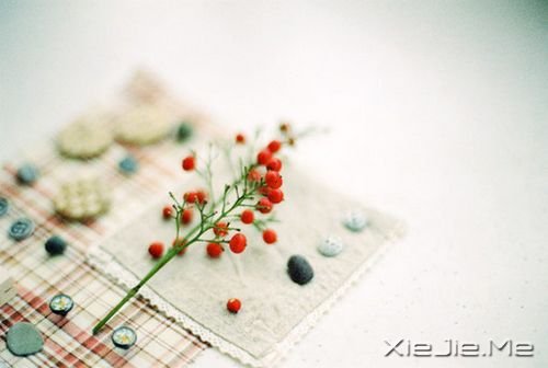 晚安心语：真正的泪水来自心底，眼睛只是一个小小的出口 (3)