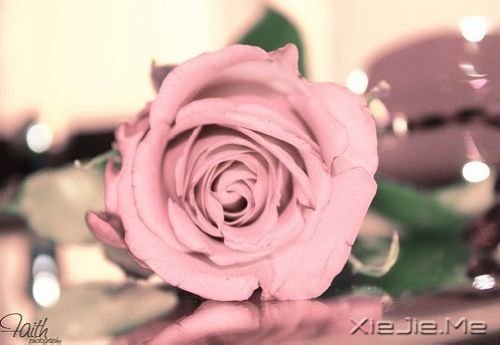 晚安心语：真正的泪水来自心底，眼睛只是一个小小的出口 (6)