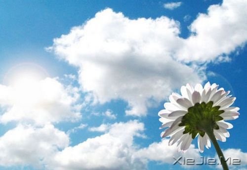 晚安心语：真正的泪水来自心底，眼睛只是一个小小的出口 (9)