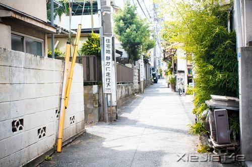 晚安心语：我们都老得太快，却明白得太迟 (2)