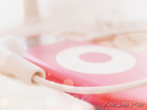 早安心语：手松开，你拥有的是一切 (3)