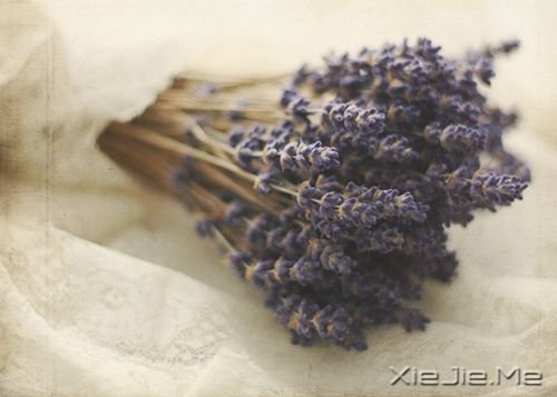 晚安心语：当你学会珍惜自己，世界才会珍惜你 (3)