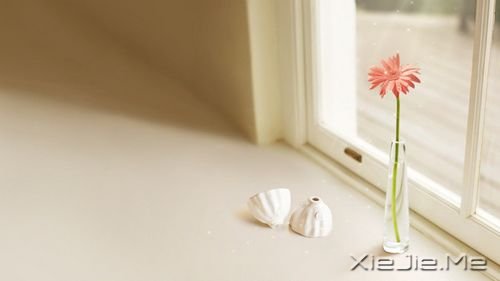 一天路过，一天错过，还有一天，好好把握 (11)