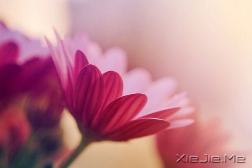 不确定就别亲吻，感情很容易毁了一个人