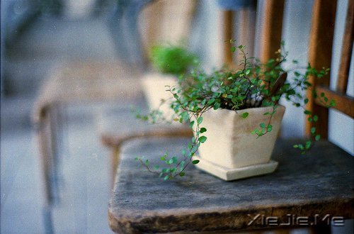 文字：做个有意思的人