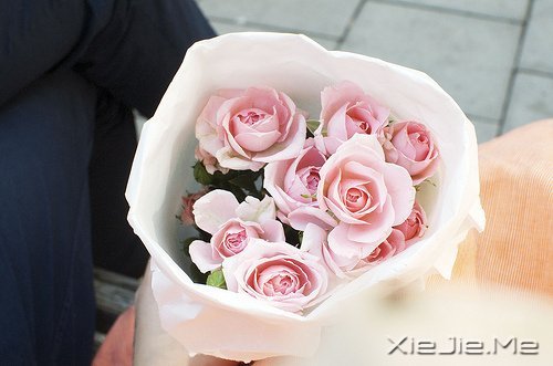 经典语录：输什么也不能输了心情 (1)