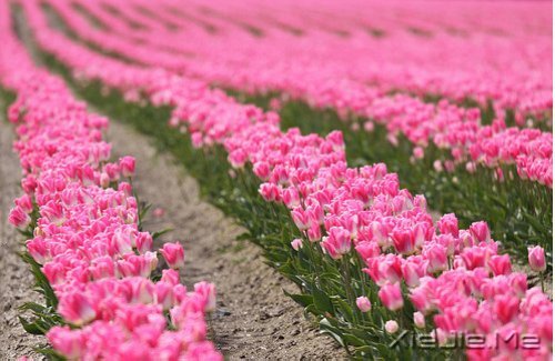 经典语录：输什么也不能输了心情 (2)