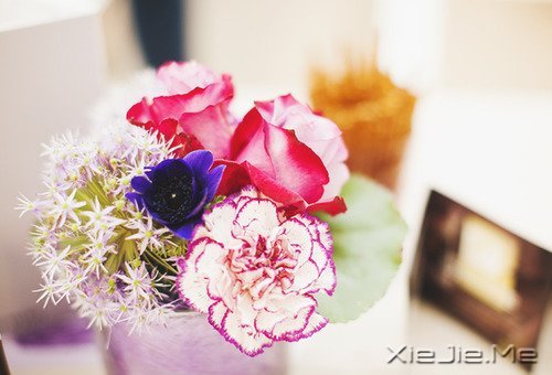 经典语录：输什么也不能输了心情 (3)