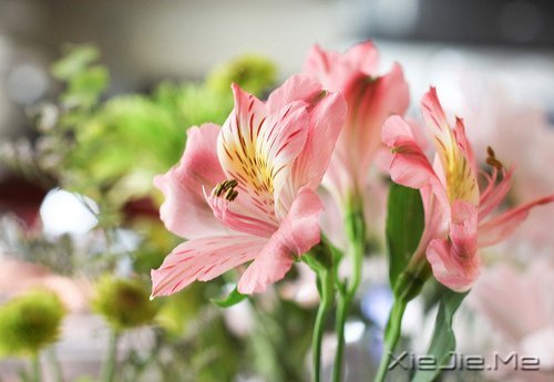 经典语录：输什么也不能输了心情 (4)
