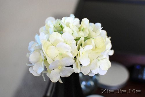 经典语录：输什么也不能输了心情 (12)